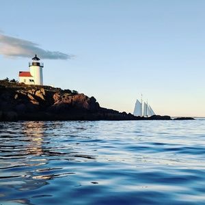 Meet your Posher, Kurt